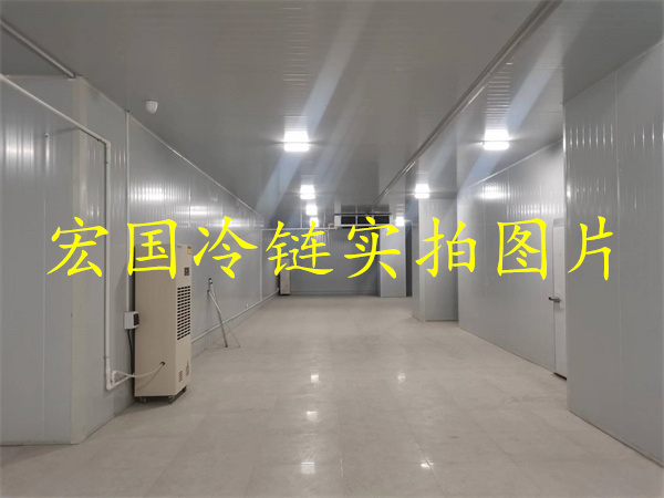 案例展示一