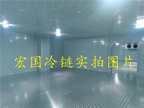 案例展示六